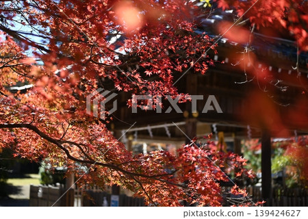 [京都]龜岡桑山神社的秋葉 139424627