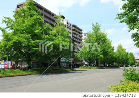 新鮮的綠色街道樹 新鮮的綠色街道樹 139424718
