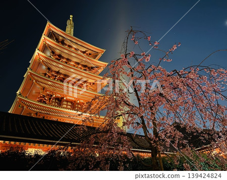 淺草寺五重塔在夜色中燈火輝煌，櫻花盛開：東京春夜美景 139424824