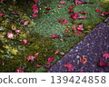 [Kyoto] Autumn leaves at Kuwayama Shrine in Kameoka 139424858