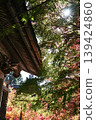 [Kyoto] Autumn leaves at Kuwayama Shrine in Kameoka 139424860