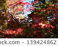 [Kyoto] Autumn leaves at Kuwayama Shrine in Kameoka 139424862