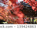 [Kyoto] Autumn leaves at Kuwayama Shrine in Kameoka 139424863