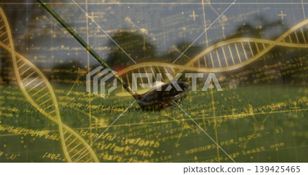 Golf driver head and ball resting in trimmed fairway, with DNA helix, equations and code overlays Golf driver head and ball resting in trimmed fairway, with DNA helix, equations and code overlays 139425465