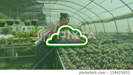 Leaning woman wearing striped apron inspecting succulents in greenhouse, with hanging planters Leaning woman wearing striped apron inspecting succulents in greenhouse, with hanging planters 139425631