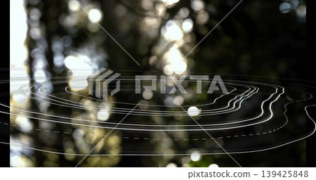 Floating irregular white contour lines layering woodland scene, digital data visualization Floating irregular white contour lines layering woodland scene, digital data visualization 139425848