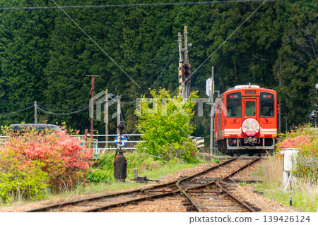一列車頭塗有特殊標誌，紀念明智鐵道開通40週年的列車正穿越山脈。 139426124