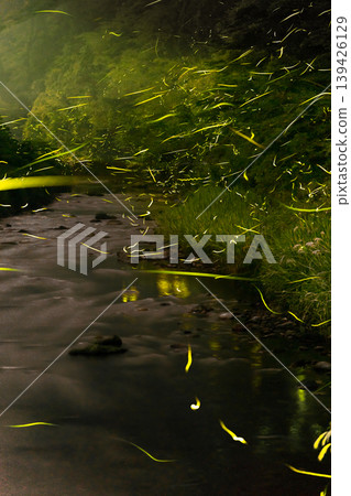Starry sky and fireflies (Maniwa City, Okayama Prefecture) *Location of photo is indicated in the comments section of the work. Starry sky and fireflies (Maniwa City, Okayama Prefecture) *Location of photo is indicated in the comments section of the work. 139426129