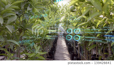 Showing rows of citrus saplings in black pots lining concrete path in greenhouse, with AR overlays Showing rows of citrus saplings in black pots lining concrete path in greenhouse, with AR overlays 139426641