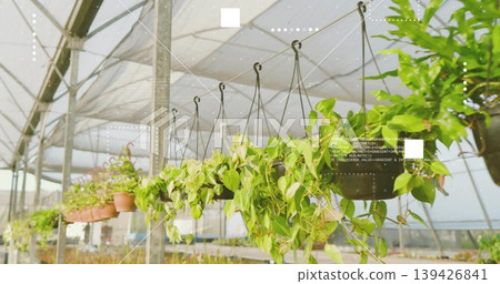 Greenhouse featuring hanging pots trailing vines shade cloth seedling benches irrigation pipes Greenhouse featuring hanging pots trailing vines shade cloth seedling benches irrigation pipes 139426841