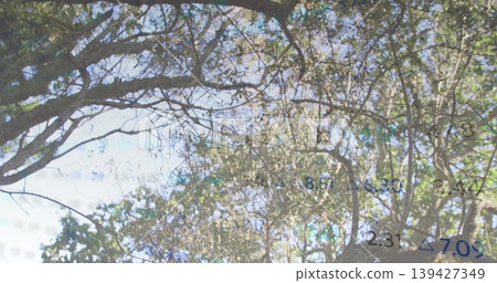 Viewing dense tree canopy showing branches under park sky, numeric overlay with decimals, triangles Viewing dense tree canopy showing branches under park sky, numeric overlay with decimals, triangles 139427349