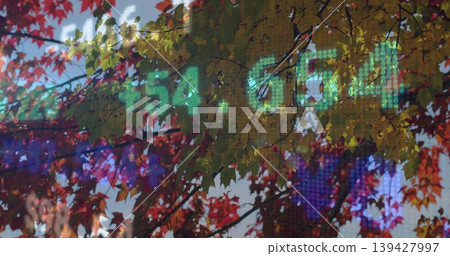 Framing maple leaves and branches at urban plaza, LED ticker showing green digits and pixels 139427997