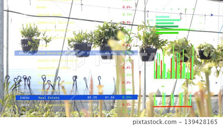 Displaying row of black hanging plant pots and seedlings in greenhouse, showing financial charts Displaying row of black hanging plant pots and seedlings in greenhouse, showing financial charts 139428165