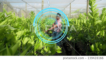 Tending man in pink shirt caring saplings under shade net, holding pruners and blue overlay Tending man in pink shirt caring saplings under shade net, holding pruners and blue overlay 139428166