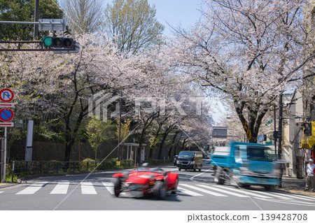 Traffic on Nakano Street with cherry blossoms in full bloom [Urban image] 139428708