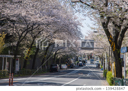 櫻花盛開，中野大街車水馬龍 [城市景觀] 139428847