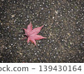 路邊躺著一片秋葉 139430164