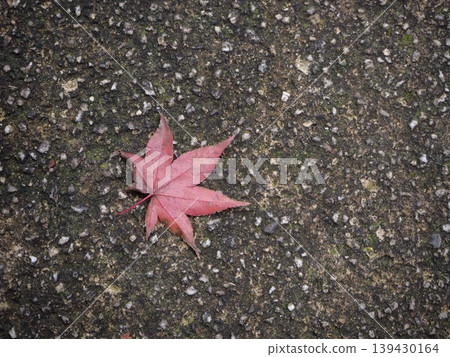 A single autumn leaf lying on the side of the road A single autumn leaf lying on the side of the road 139430164