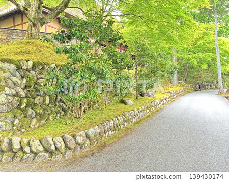 入口採用新鮮綠色包裹的方式 入口採用新鮮綠色包裹的方式 139430174