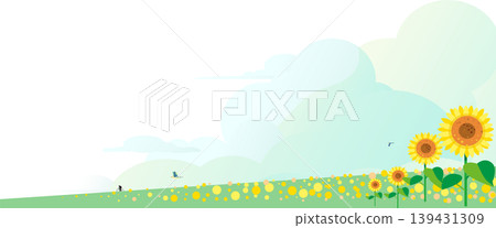 Vector background illustration of a summer sunflower field and blue sky (for copy space/banner use) Vector background illustration of a summer sunflower field and blue sky (for copy space/banner use) 139431309