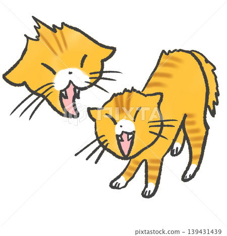 A cat hissing and threatening A cat hissing and threatening 139431439