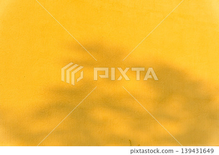 Textured yellow stucco facade with soft shadows from nearby trees 139431649