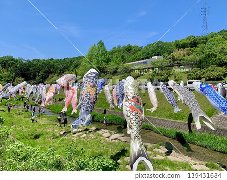 五月的晴空萬裡,綠意盎然,五彩繽紛的鯉魚旗飄揚(常磐東小學(青木川)/愛知縣岡崎市) 五月的晴空萬裡,綠意盎然,五彩繽紛的鯉魚旗飄揚(常磐東小學(青木川)/愛知縣岡崎市) 139431684