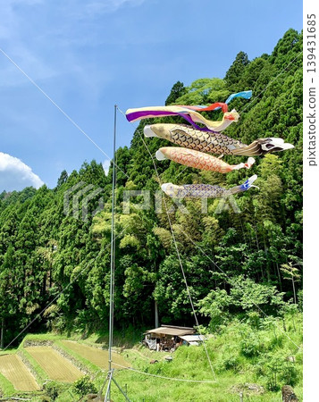 A landscape of terraced rice fields adorned with brightly colored carp streamers, a blue sky, and the fresh greenery of a sunny May day (Yotsuya Senmaida/Shinshiro City, Aichi Prefecture) A landscape of terraced rice fields adorned with brightly colored carp streamers, a blue sky, and the fresh greenery of a sunny May day (Yotsuya Senmaida/Shinshiro City, Aichi Prefecture) 139431685
