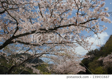 Spring landscape Spring landscape 139431687