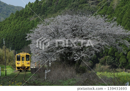 春天風景 春天風景 139431693