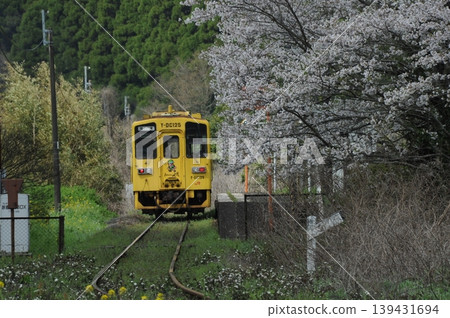 春天風景 139431694