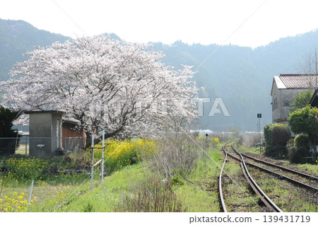 春天風景 春天風景 139431719