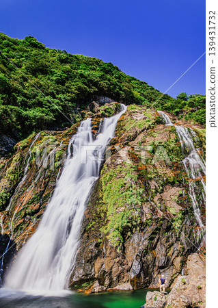 The spray of the Okawa waterfall echoes through the forests of Yakushima. The spray of the Okawa waterfall echoes through the forests of Yakushima. 139431732