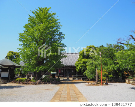 秀龍山東福寺正殿 秀龍山東福寺正殿 139431777