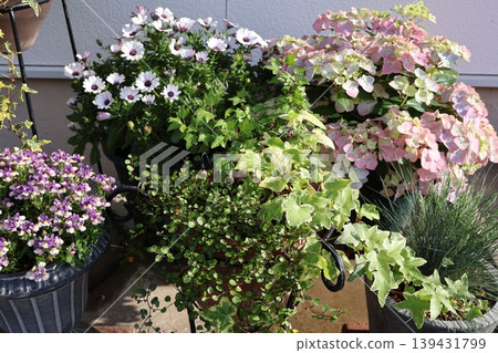 Flower pots in front of the entrance 139431799