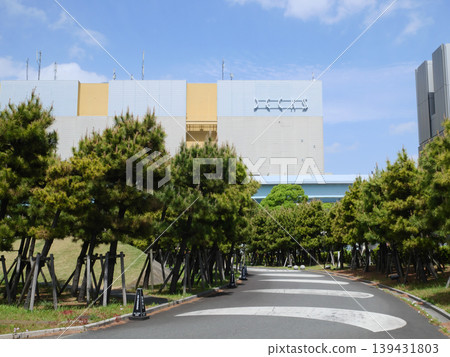 綠樹成蔭的街景 | 台場 綠樹成蔭的街景 | 台場 139431803
