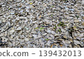 A landscape of fallen leaves like wallpaper 139432013