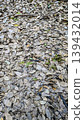 A landscape of fallen leaves like wallpaper 139432014
