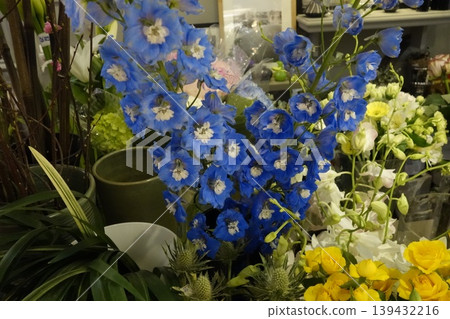 Vibrant Blue Delphiniums Among Floral Arrangements Vibrant Blue Delphiniums Among Floral Arrangements 139432216