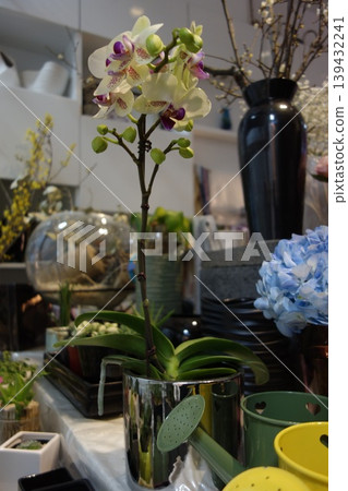 Floral Arrangement with Orchids and Hydrangeas 139432241