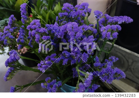Vibrant Purple Flower Bouquet in Floral Arrangement Vibrant Purple Flower Bouquet in Floral Arrangement 139432283