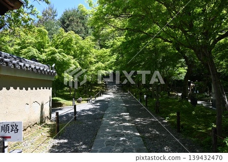 Beautiful walking paths within the grounds of Kodai-ji Temple Beautiful walking paths within the grounds of Kodai-ji Temple 139432470