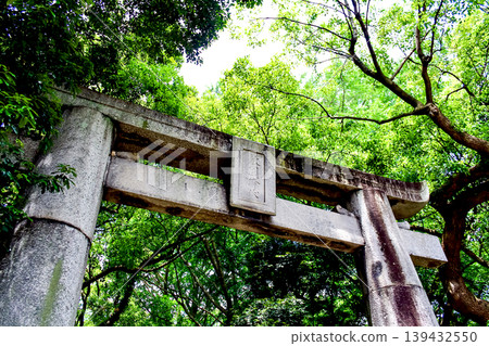 [Fukuoka] Early summer in Fukuoka: Torii gate behind the main hall of Hakozaki Shrine 139432550