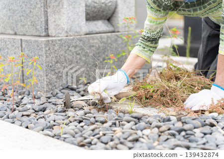 Image of weeding a grave Image of weeding a grave 139432874