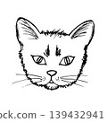 Hand-drawn simple vector sketch with black outline. Muzzle, head of a tousled cat on a white background. Animals, homeless, domestic animals. For prints, stickers, labels. 139432941