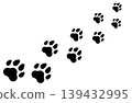 Cute animal footprints (paw prints) 139432995