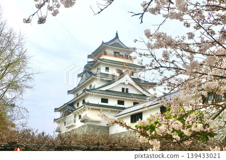 Karatsu Castle, cherry blossoms and the castle tower (Karatsu City, Saga Prefecture) 139433021
