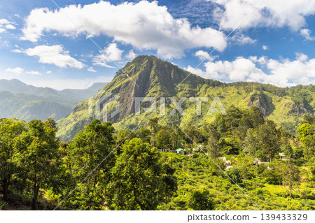 Ella rock mountain in Sri Lanka. Breathtaking Mountainous Landscape with Lush Greenery and Blue Sky, Majestic Nature Scenery, Vibrant Forest View with Clouds Ella rock mountain in Sri Lanka. Breathtaking Mountainous Landscape with Lush Greenery and Blue Sky, Majestic Nature Scenery, Vibrant Forest View with Clouds 139433329