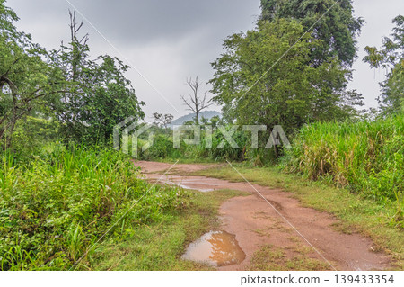 Muddy rural road winding through lush green tropical vegetation with puddles under a cloudy sky. Hurulu Eco Park Safari in Sri Lanka. Muddy rural road winding through lush green tropical vegetation with puddles under a cloudy sky. Hurulu Eco Park Safari in Sri Lanka. 139433354