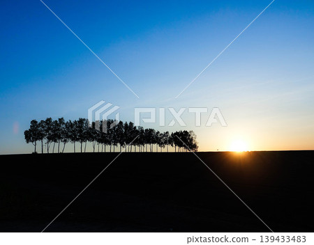 The birch trees along the Biei coast were cut down due to the effects of overtourism. The birch trees along the Biei coast were cut down due to the effects of overtourism. 139433483
